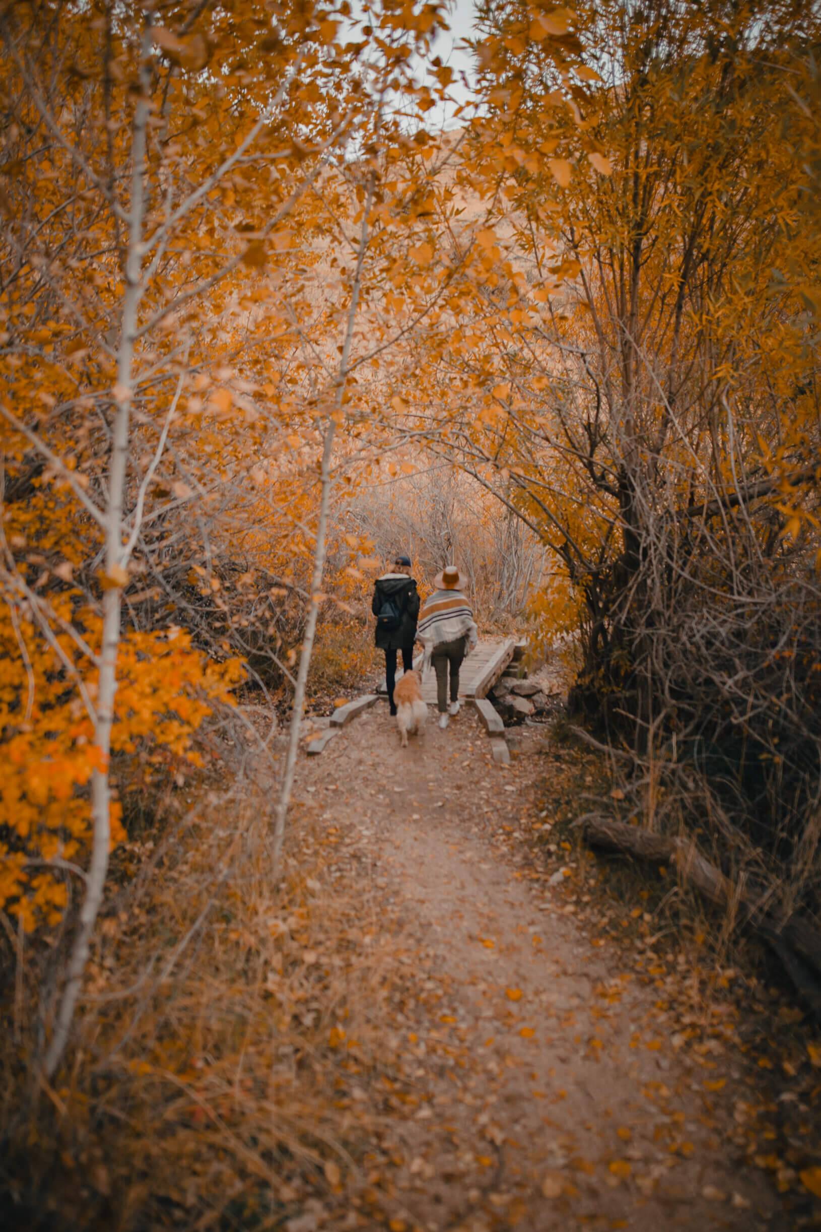 couple walking along fall trail