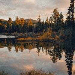 fall colors reflecting in water