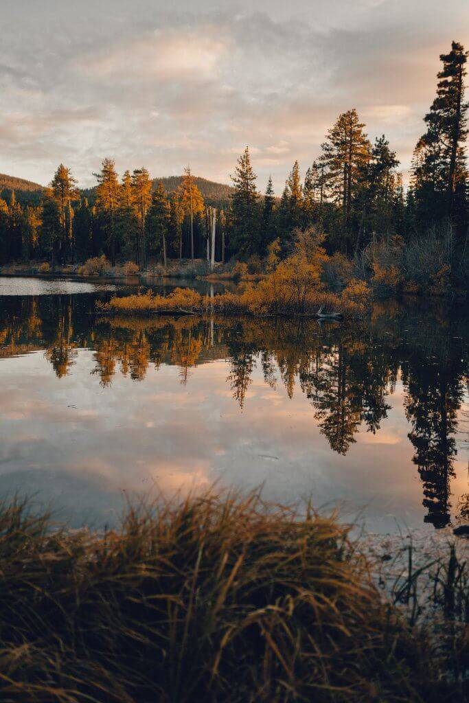 fall colors reflecting in water