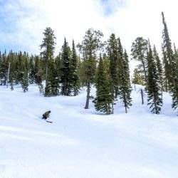 skier at pebble creek