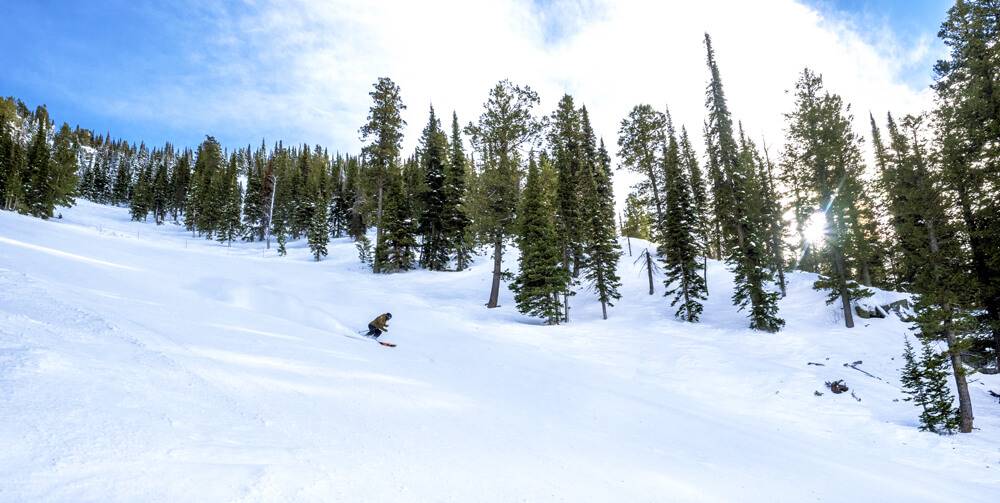 skier at pebble creek