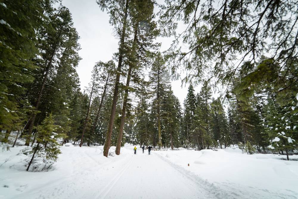 people cross country skiing