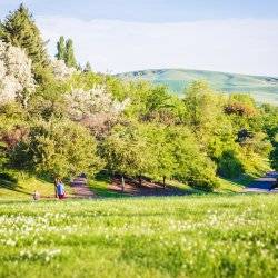 People walking on a nature path among trees at the University of Idaho Arboretum & Botanical Garden.