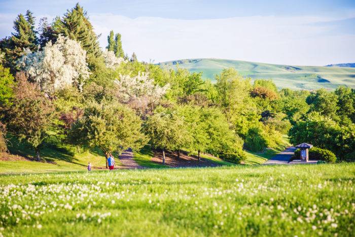 people walking on path among trees