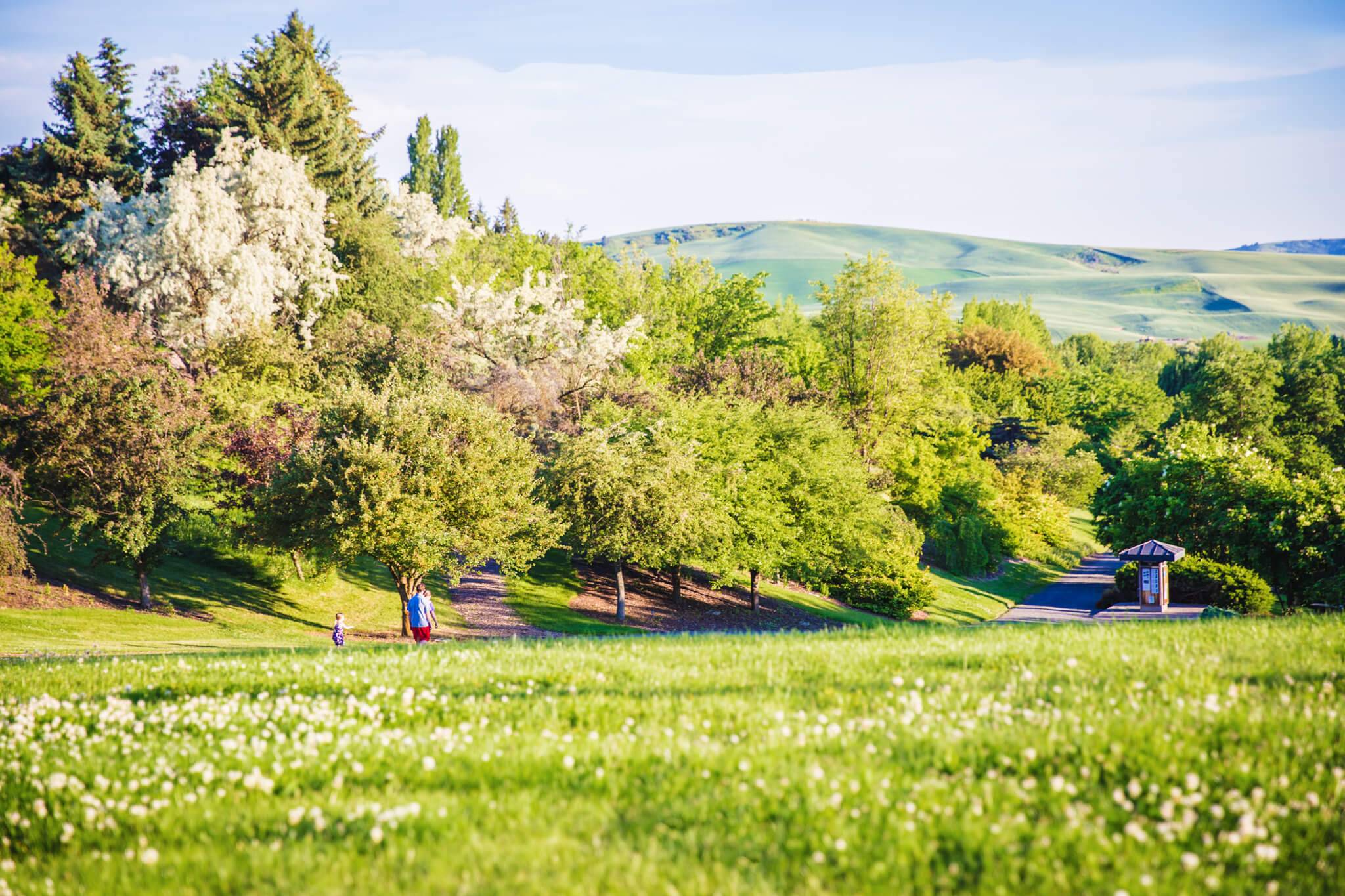 People walking on nature path among trees at the University of Idaho.