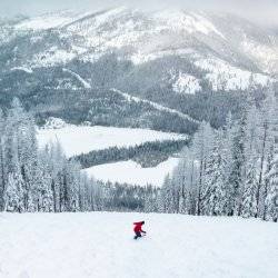 skier on slope