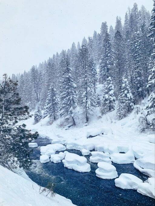 snowy river