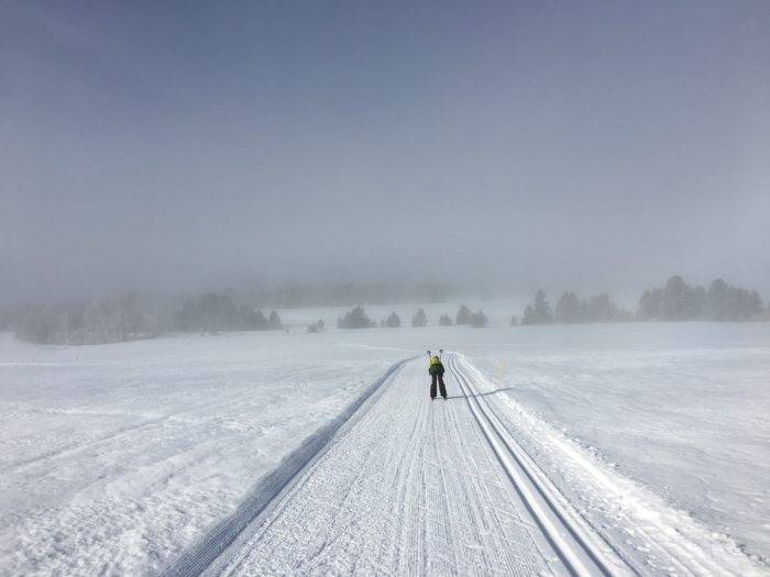 person nordic skiing