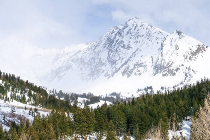 A backcountry ski mountain in Idaho. 