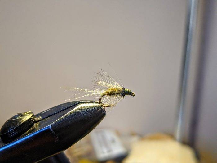 soft-hackle Blue-winged Olive fly tie