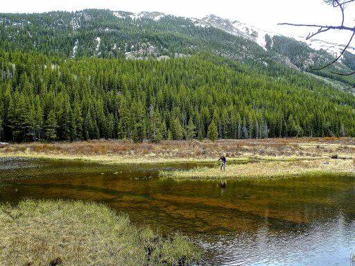 woman fishing