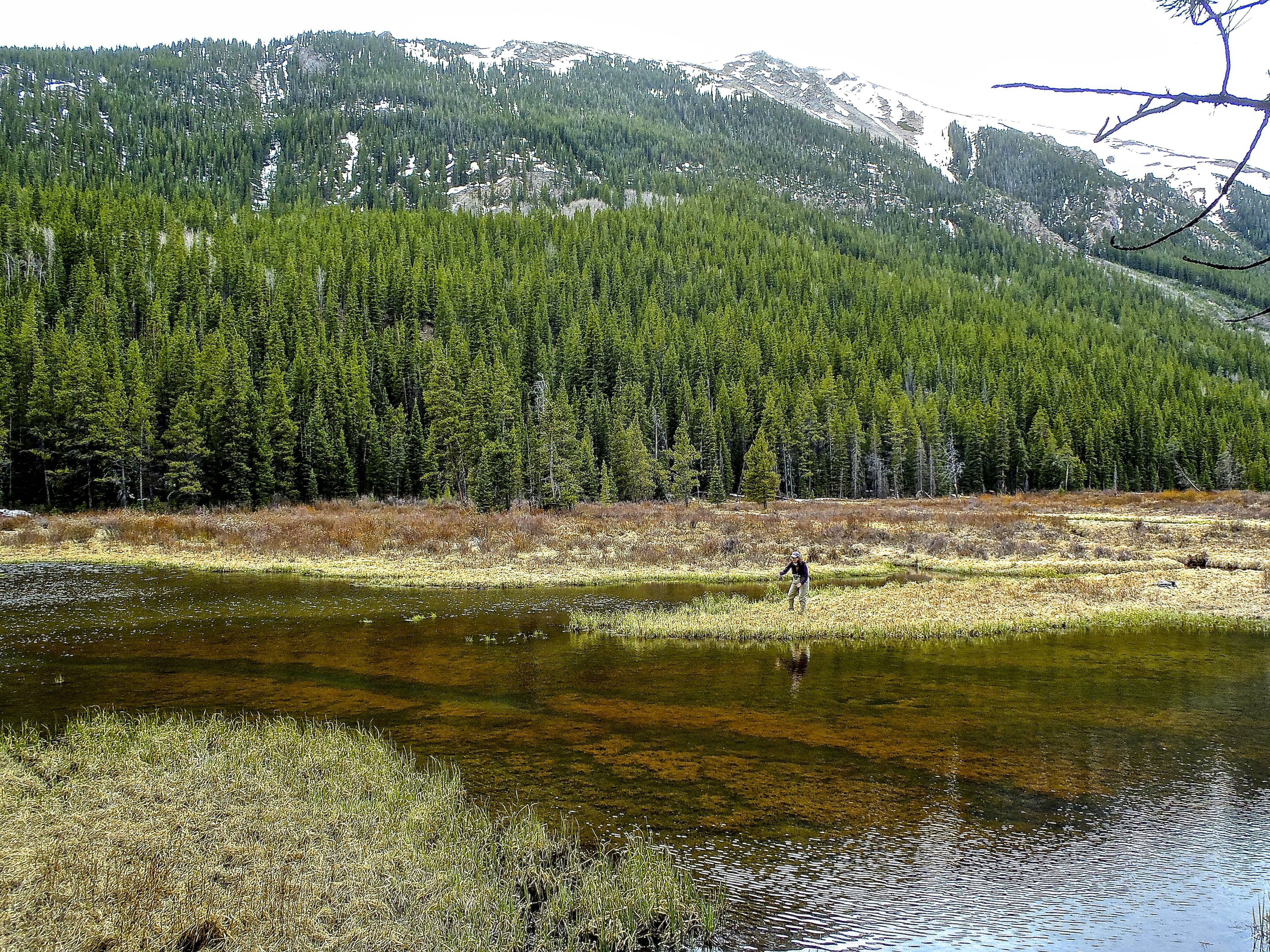 woman fishing