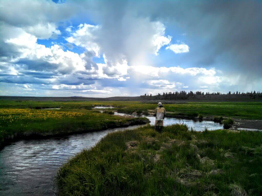 person standing in stream fishing