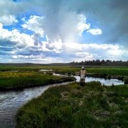 person standing in stream fishing