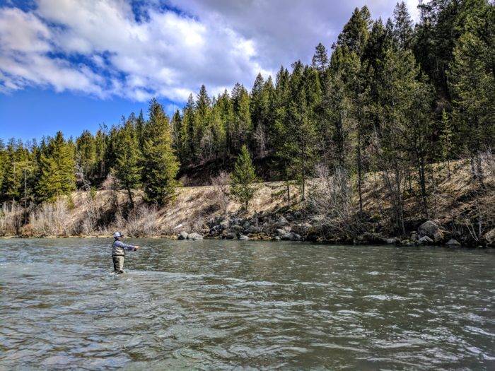 person standing in river fly fishing