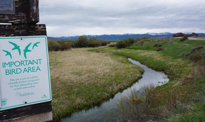 trail sign and creek