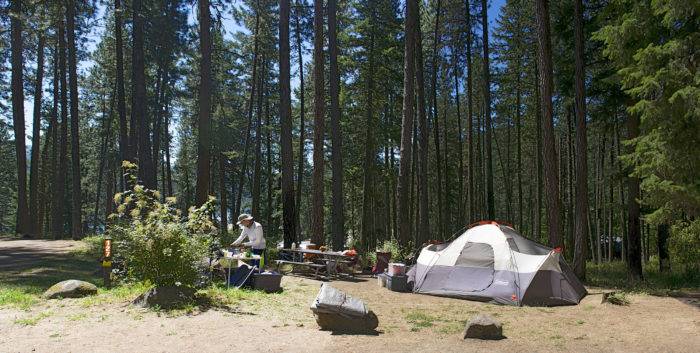 person by tent at campsite