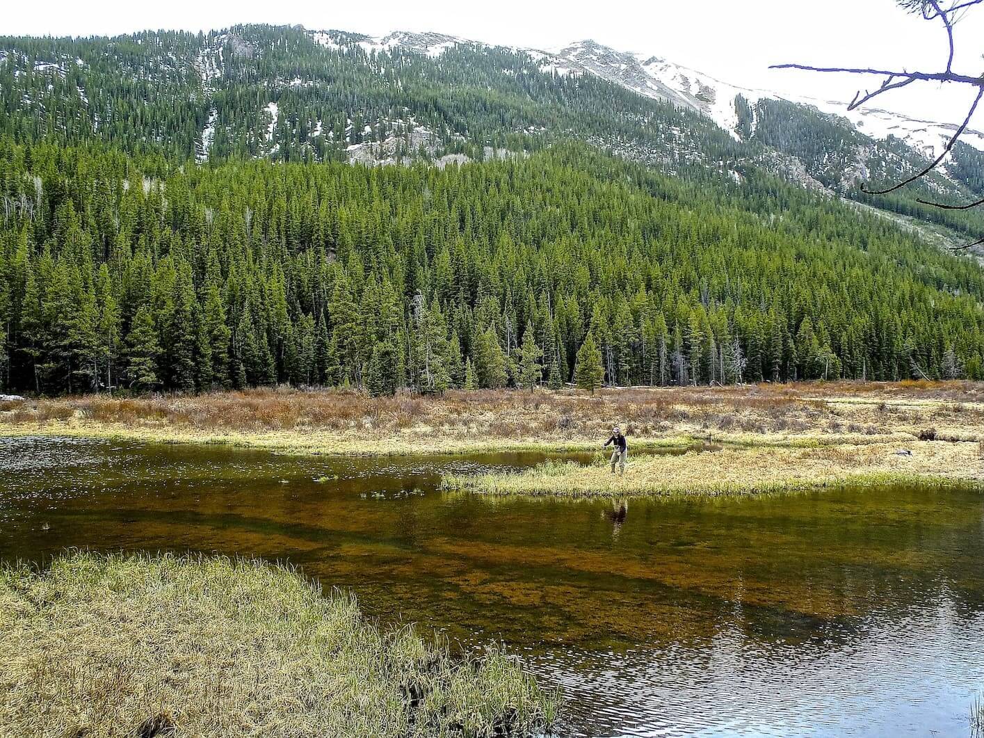 Woman fly fishing in central Idaho.