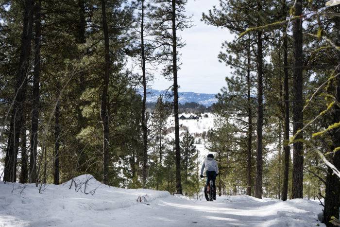 fat bike rider in snow in mccall