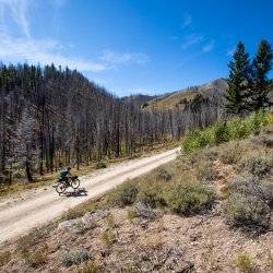 cyclist on mountain trail