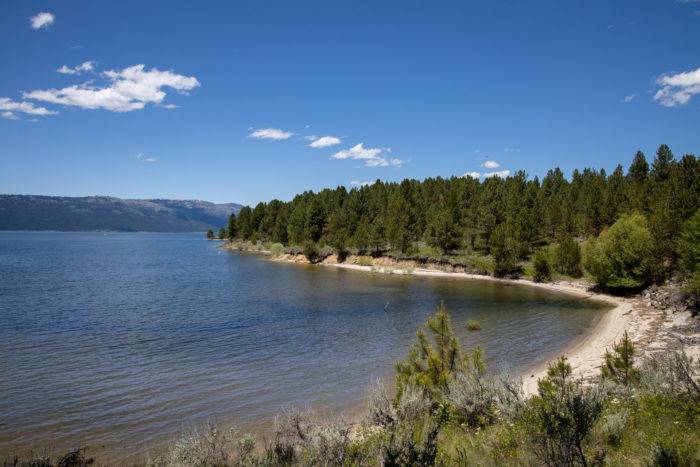 shoreline of lake cascade