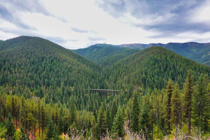 wooded mountain with railway trestle