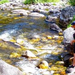 woman fishing in mountain stream