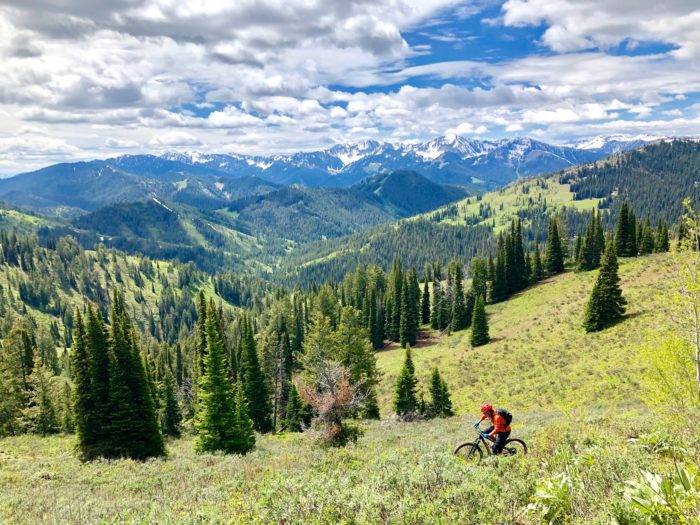 MOUNTAIN BIKER TETON VALLEY