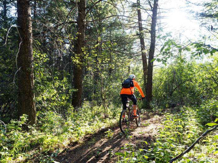 mountain biker in forest at kelly canyon