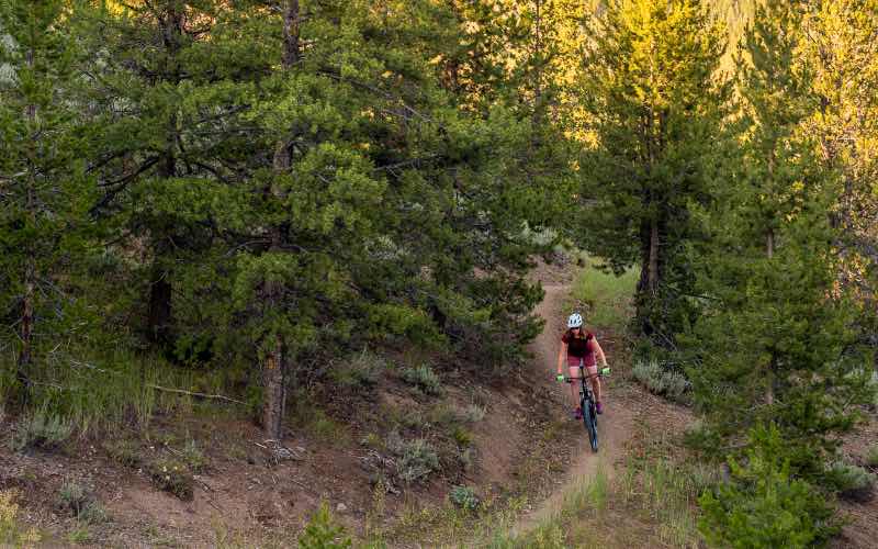 woman riding a mountain bike down a trail in a forest