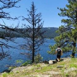 Hiker walking on grass near the shore of Payette Lake