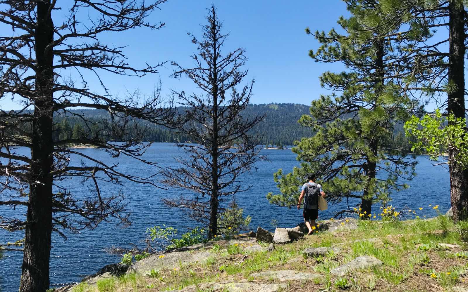 Hiker walking on grass near the shore of Payette Lake