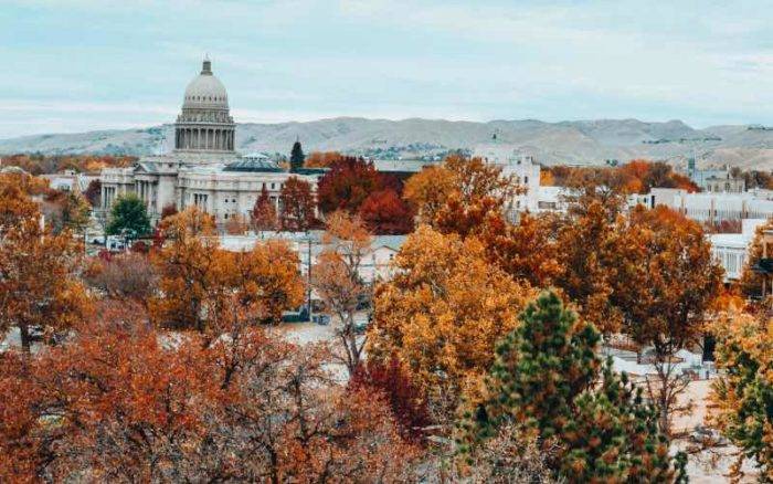 view of trees in downtown Boise during the fall and the Idaho State Capitol Building in the distance