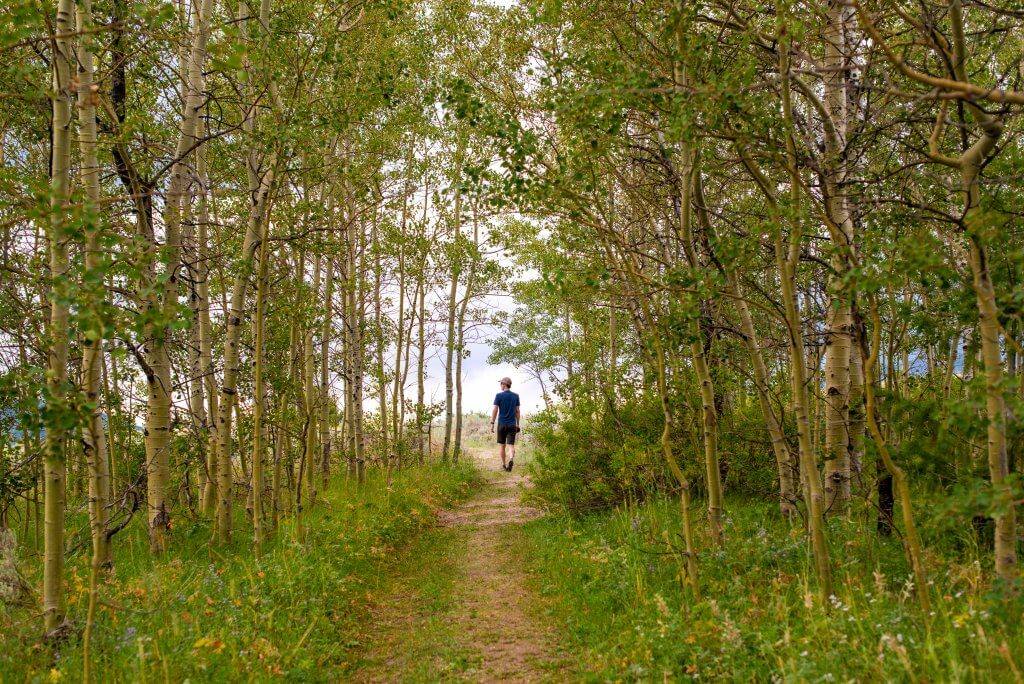 man walking trail in Henry's Lake State Park