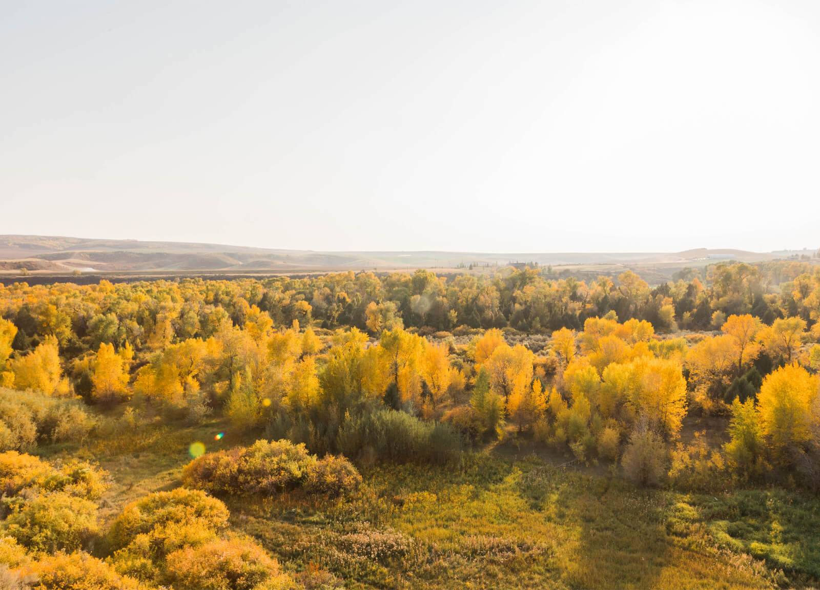 Fall foliage in Wolf Flats Recreation Area.