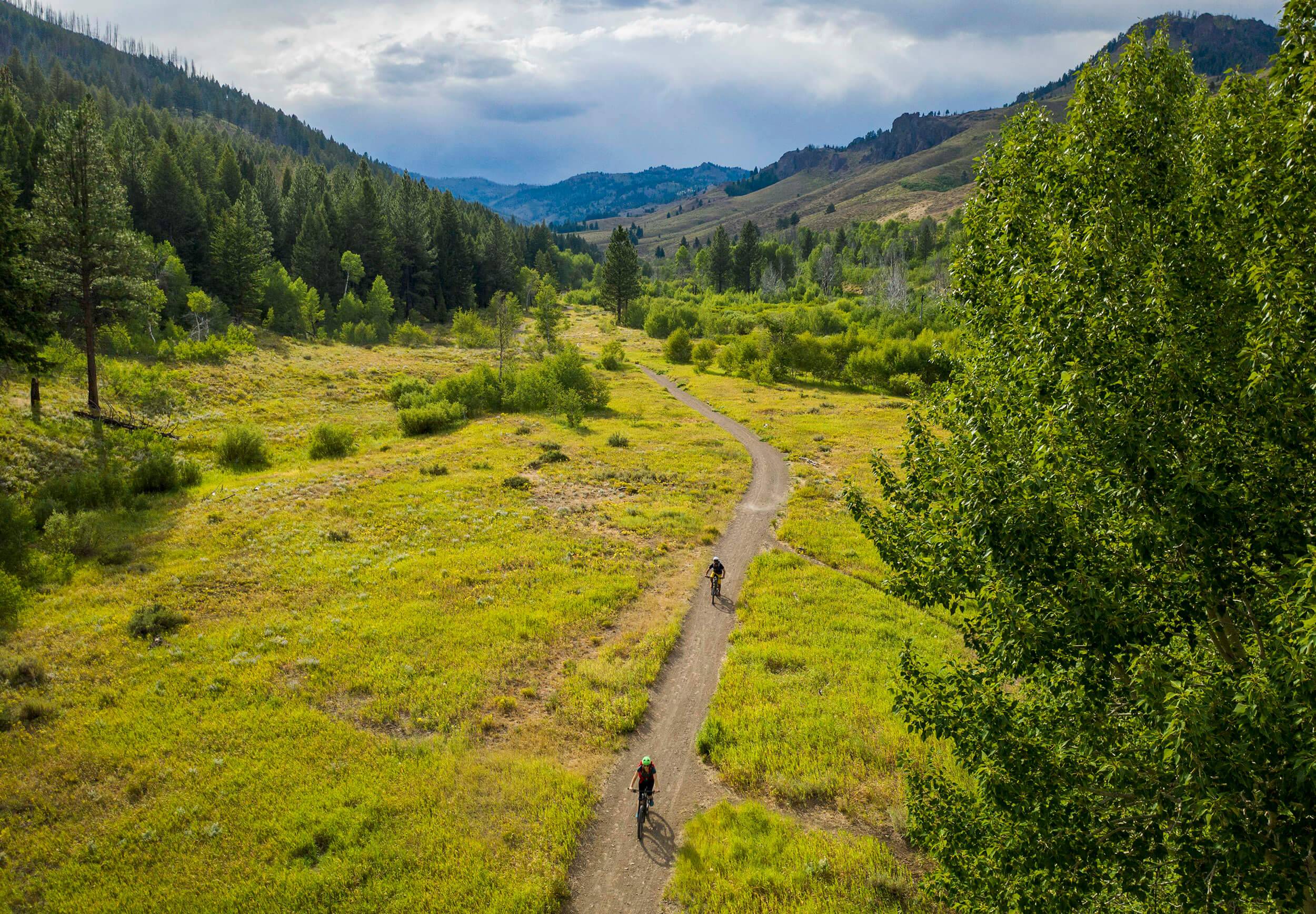 mountain bikers ride on a trail surrounded by trees and grass