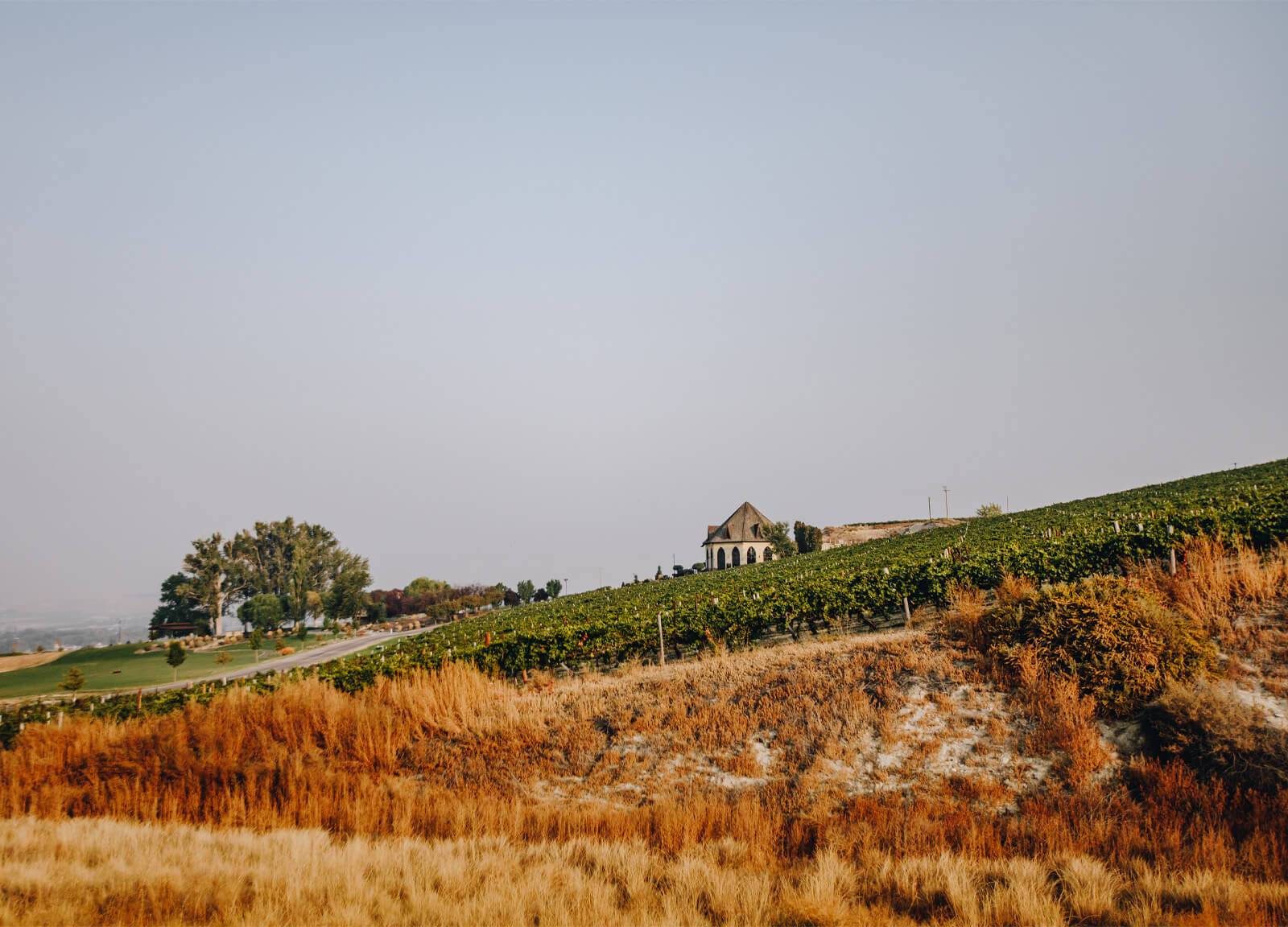 Fall foliage around Ste. Chapelle Winery.