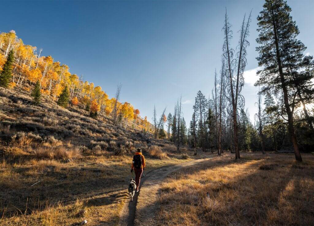 Road Map to Idaho's Fall Foliage | Visit Idaho