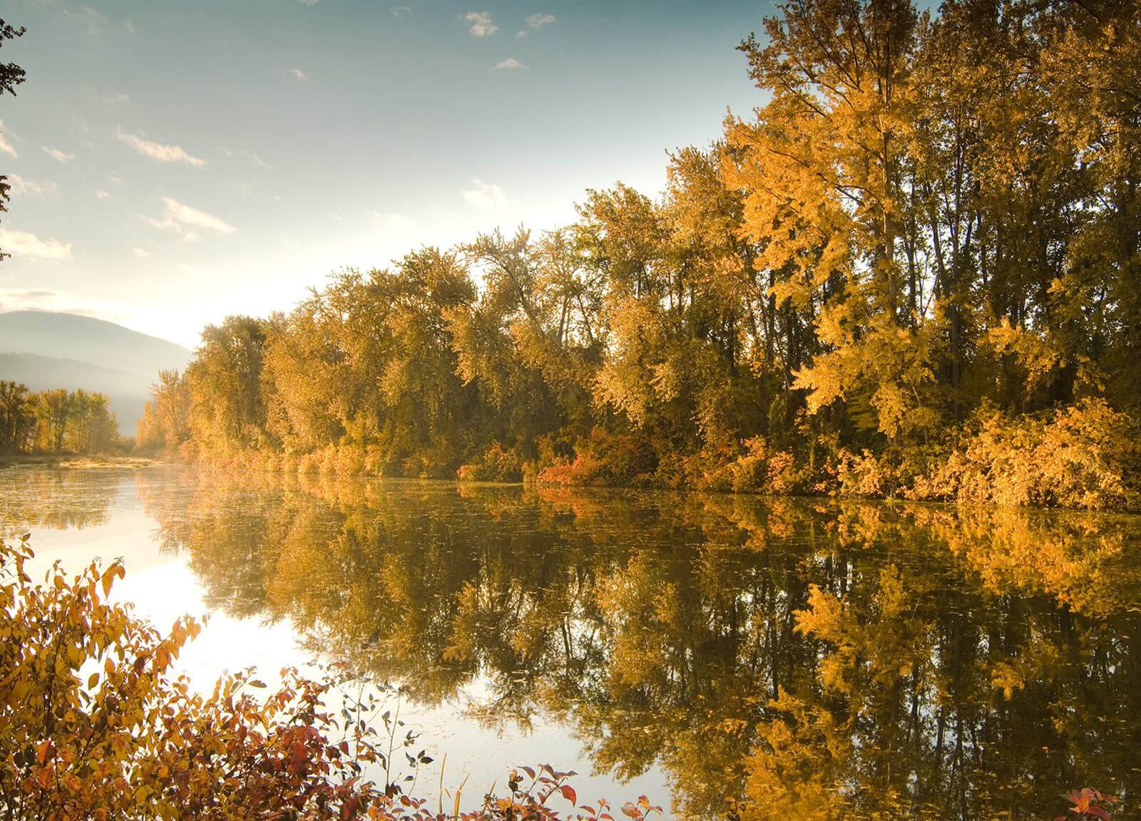 A river surrounded by fall foliage on the International Selkirk Loop.