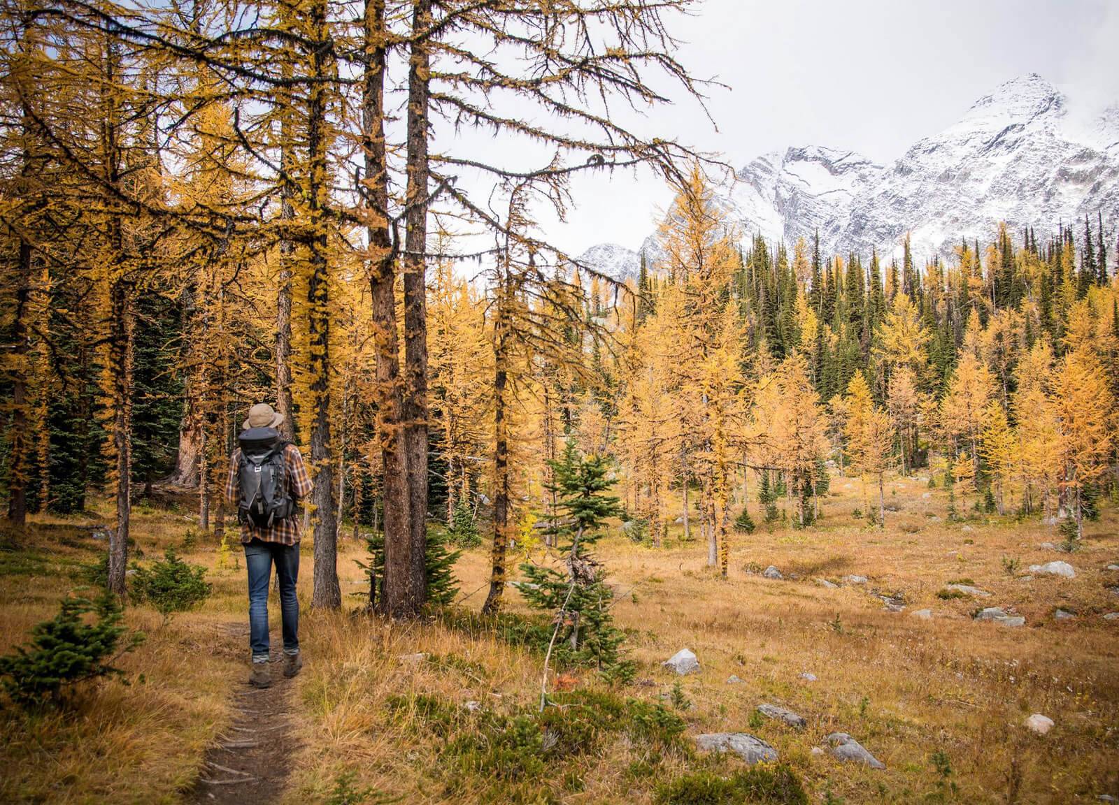 A person hiking near the International Selkirk Loop with snow-capped mountains in the background.