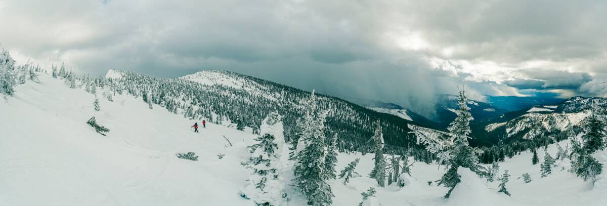 Panorama of the Selkirk Crest with valleys and trees.