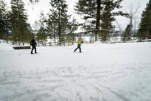 people cross country skiing in Ponderosa State Park