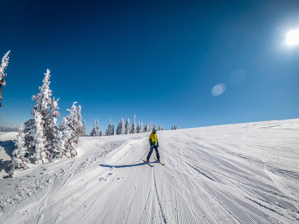 skier next to snowy trees at Pomerelle