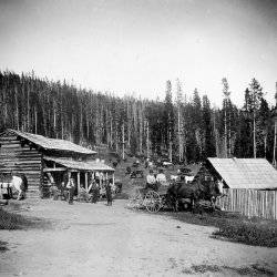 A historical photo of two cabins and a horse and carriage at Burgdorf.