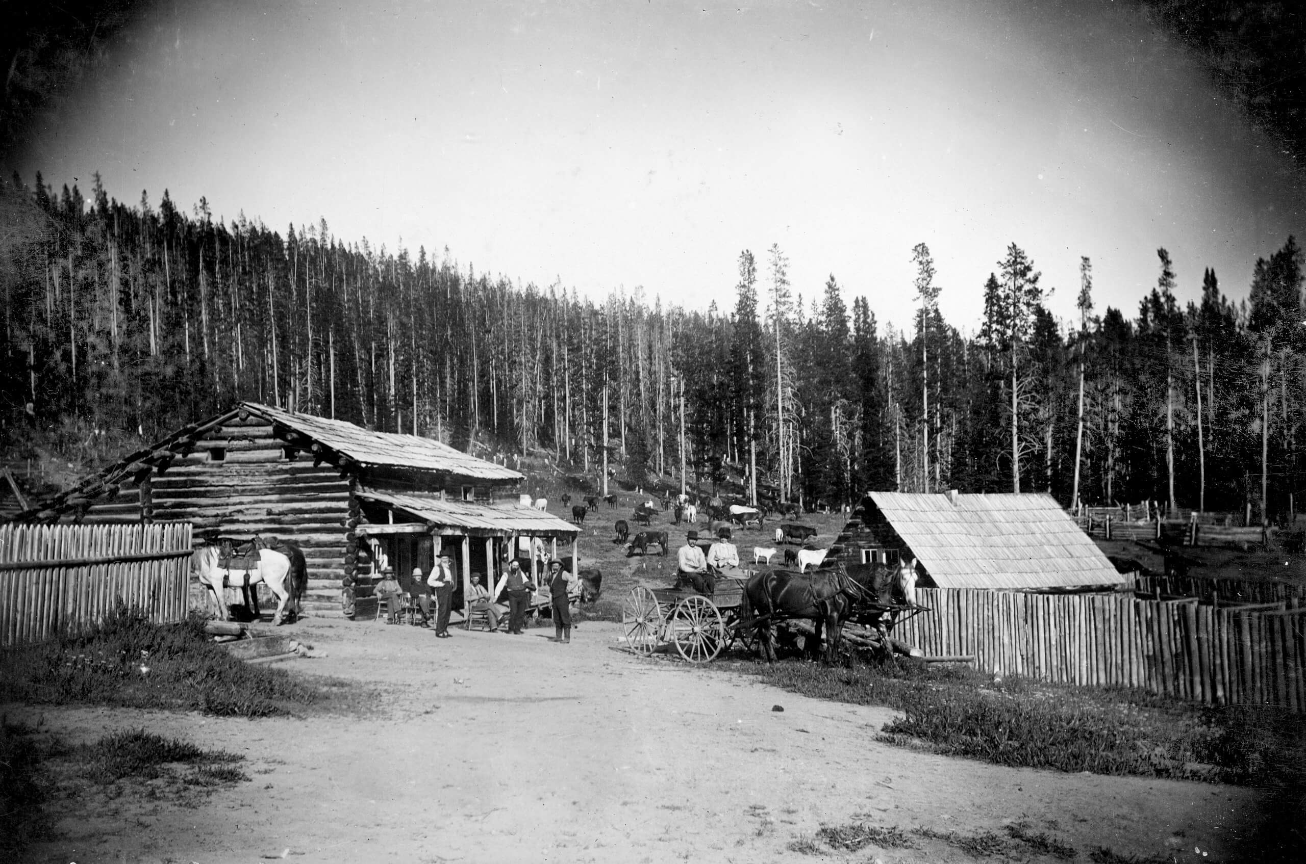 A historical photo of two cabins and a horse and carriage at Burgdorf.