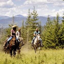 Three people riding horseback through a lush meadow at Western Pleasure Guest Ranch.