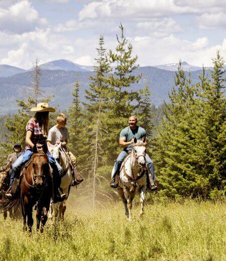 three people riding horseback through a field