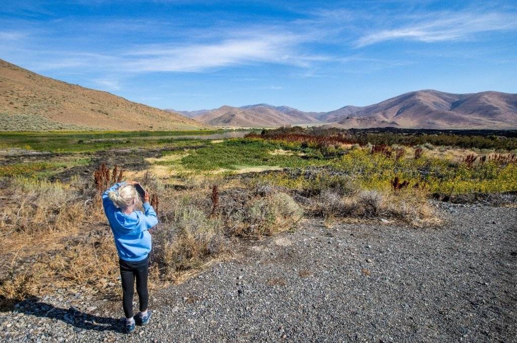 little girl taking a picture with an iphone