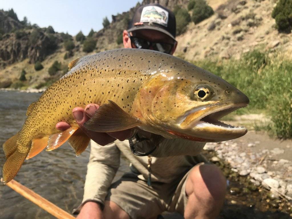 MAN HOLDING FISH