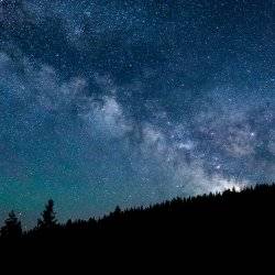 A view of the Milky Way and tree silhouettes at the Central Idaho Dark Sky Reserve.